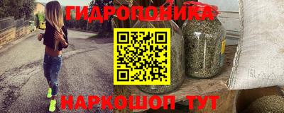 Альфа ПВП Будённовск