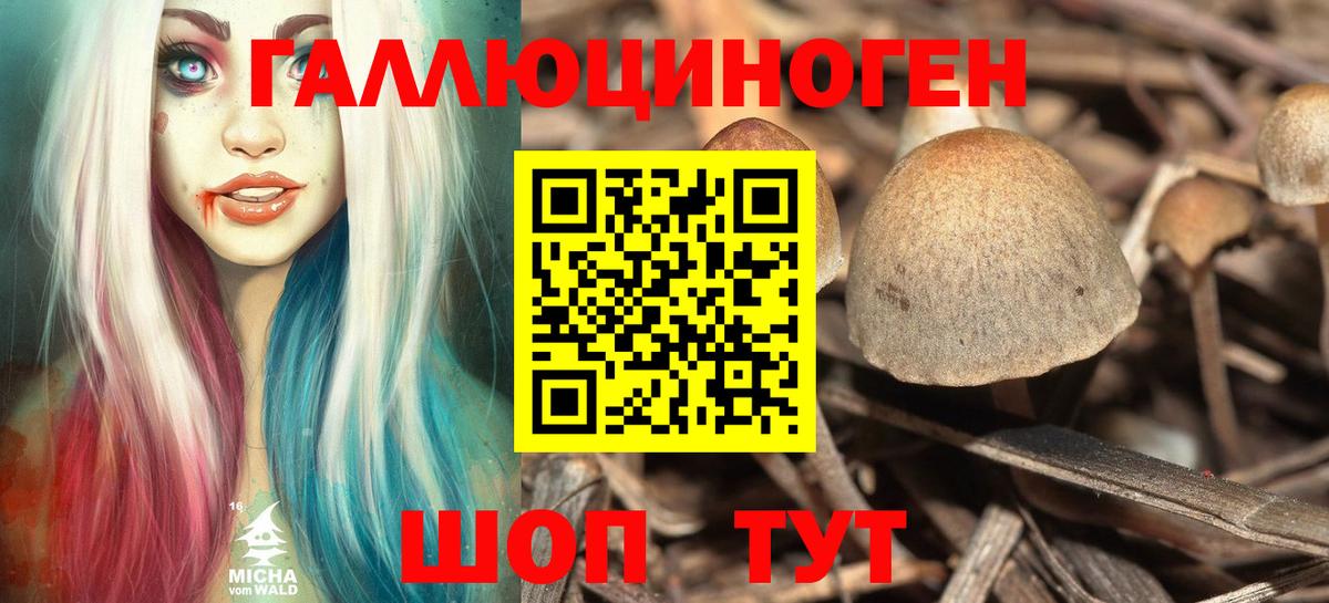 Галлюциногенные грибы MAGIC MUSHROOMS Лесной